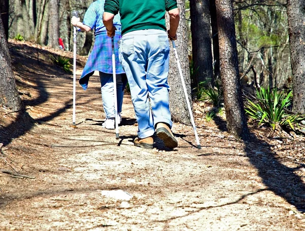 Pareja mayor Senderismo — Foto de Stock