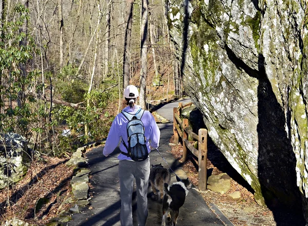 Wandern mit Hunden — Stockfoto