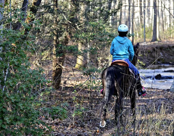 Fille équitation cheval dans l 'bois — Photo