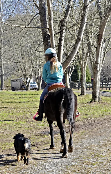 Flicka Rider häst till ladan — Stockfoto