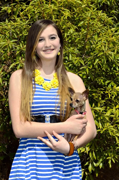 Beautiful Girl with Chihuahua — Stock Photo, Image