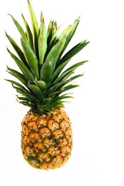 A big single pineapple — Stock Photo, Image