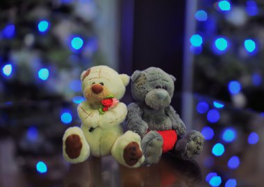 aşık çift oyuncak ayılar