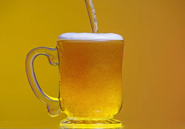 Cerveza — Foto de Stock