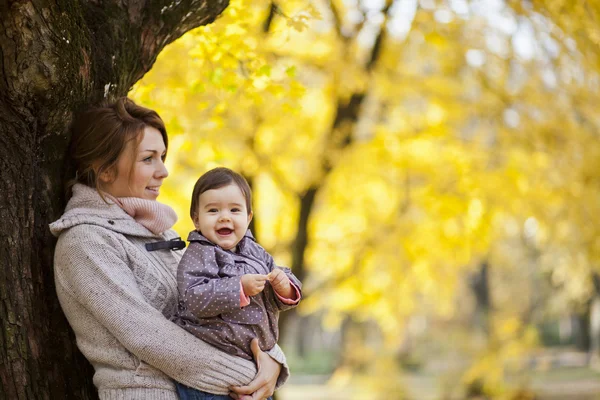 Herbst — Stockfoto