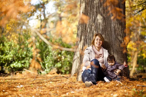 Autumn — Stock Photo, Image