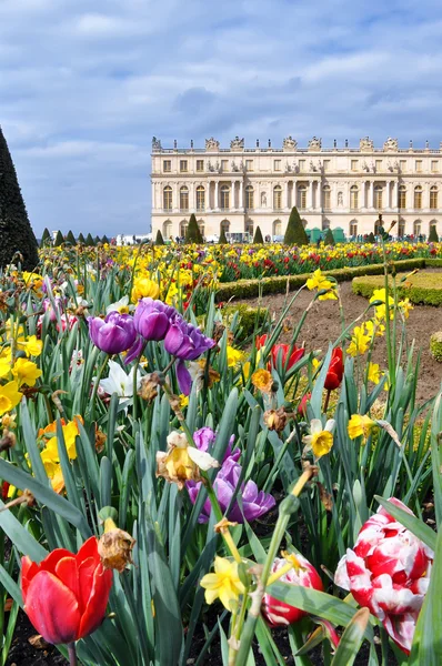 Versailles in Parijs, Frankrijk — Stockfoto