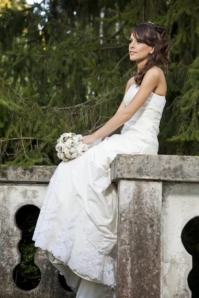 Novia en el parque —  Fotos de Stock