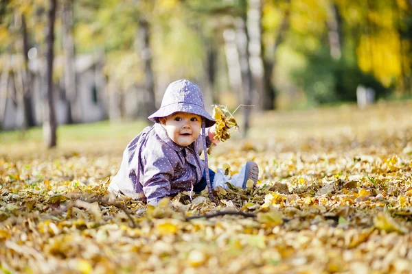 Autunno — Foto Stock