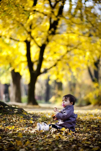 Otoño — Foto de Stock