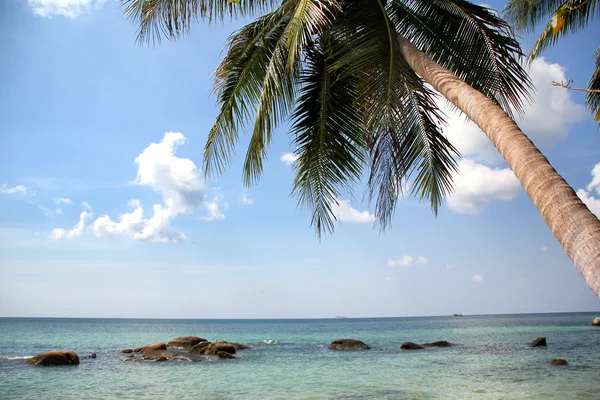 Tropical beach — Stock Photo, Image