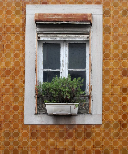 Λισαβόνας παράθυρο — Φωτογραφία Αρχείου