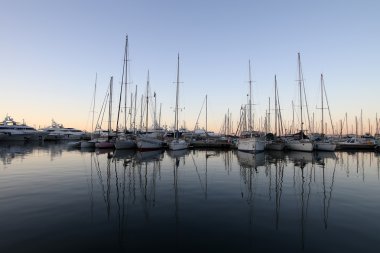 Cannes bağlantı noktası