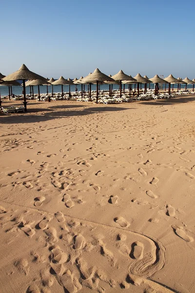 Песчаный пляж — стоковое фото