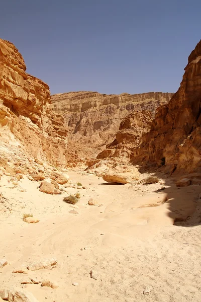 Canyon de couleur dans le Sinaï, Egypte — Photo