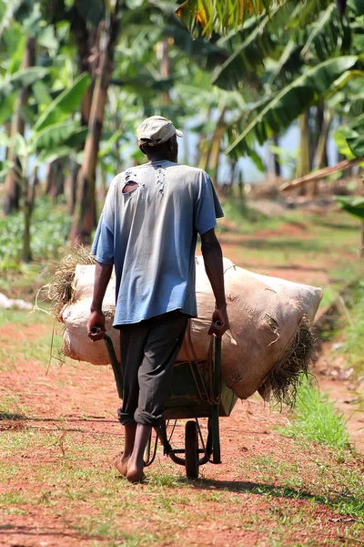 Rwanda — Stock Photo, Image