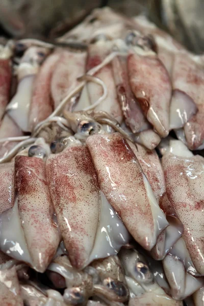在市场上的鲜鱿鱼 — 图库照片