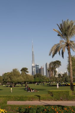 Dubai safa park manzarası