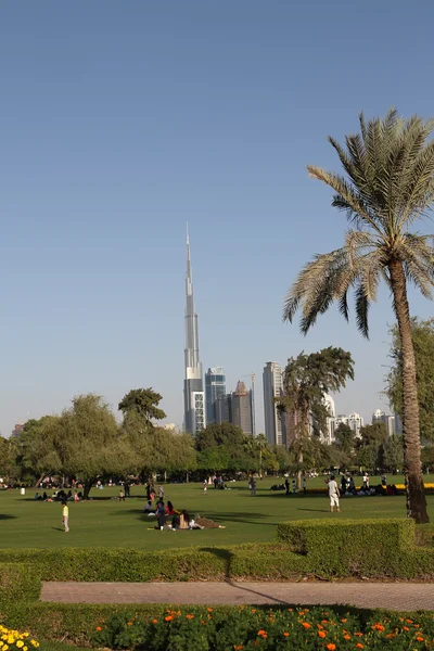 Dubai Visa från safa park — Stockfoto