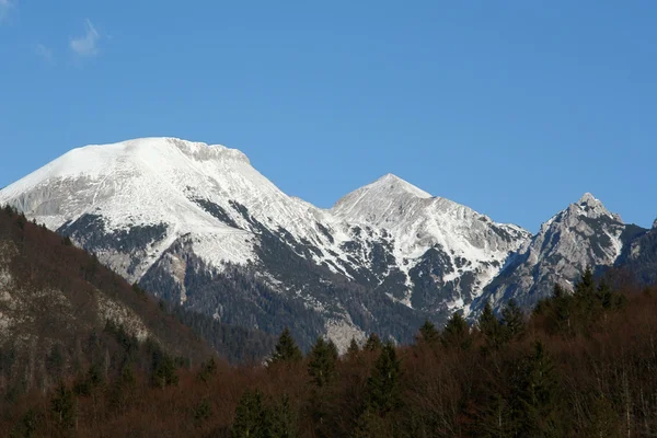 Bohinj, Slowenien — Stockfoto