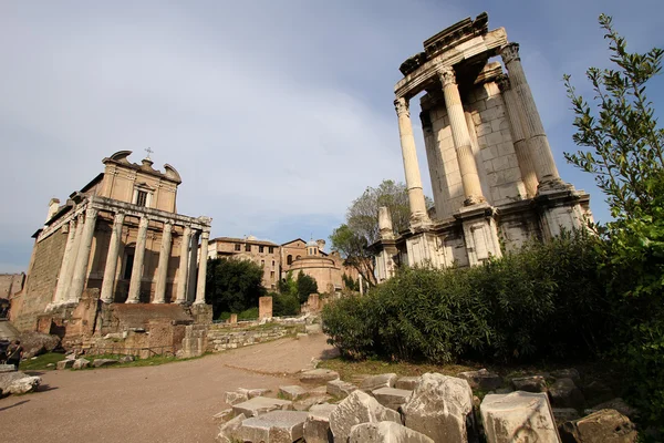 Forum romano — Foto Stock