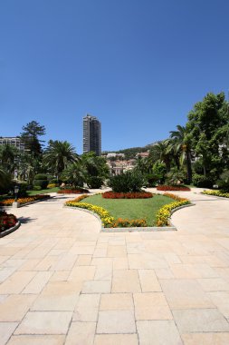 Monte carlo