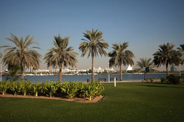 Дубайский речной парк — стоковое фото