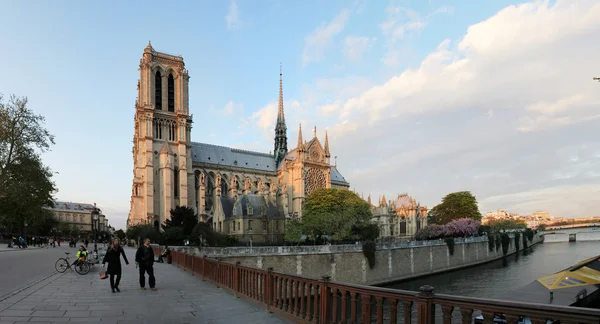 Notre Dame von Paris — Stockfoto