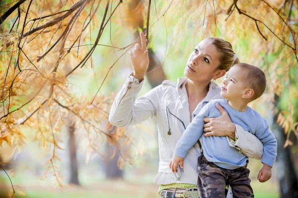 Herbst — Stockfoto