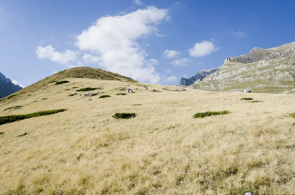 Durmitor, 몬테네그로 — 스톡 사진