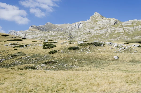 Durmitor, Montenegro — Foto de Stock