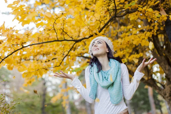 Autumn — Stock Photo, Image