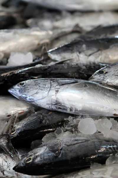 Mercado do peixe — Fotografia de Stock