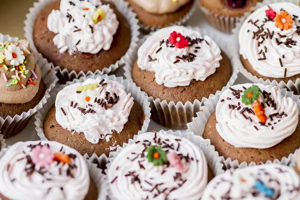 Cupcakes — Fotografia de Stock