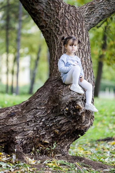 Little girl on the tree — Stock Photo, Image
