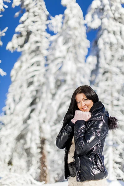 Jovem mulher no inverno — Fotografia de Stock