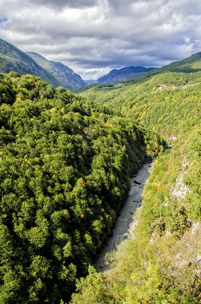 De rivier — Stockfoto