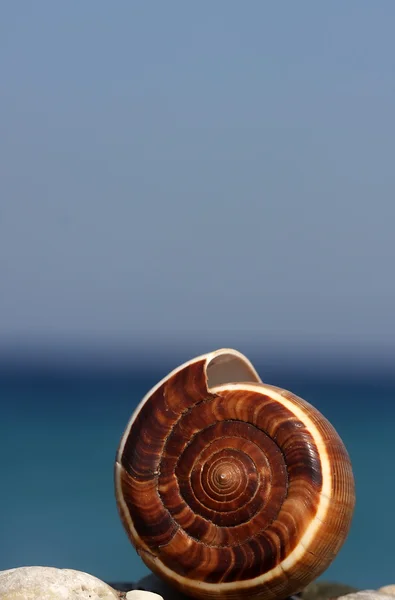 Op het strand — Stockfoto