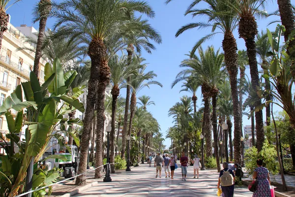 Callejón de palmeras en Alicante, España — Foto de Stock