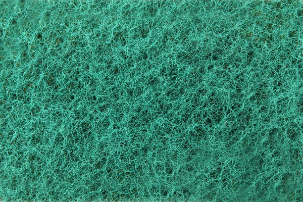 海绵 — 图库照片