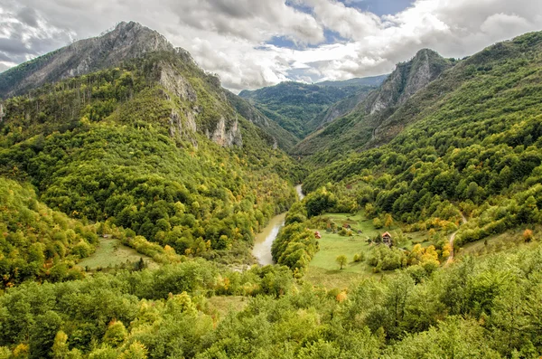 Nehir — Stok fotoğraf