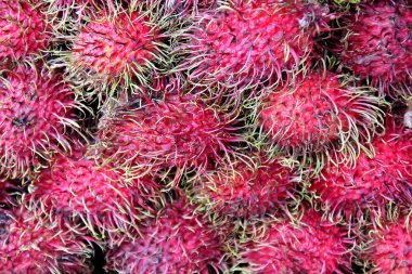 Tayland meyve taze rambutan
