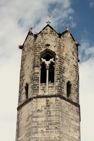 La seu kathedraal in barrio gotico in barcelona — Stockfoto