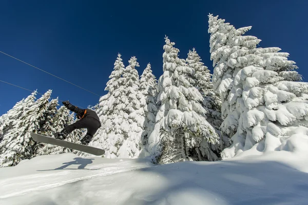 Snowboarder — Fotografia de Stock