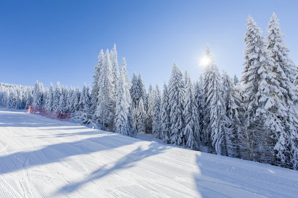 Invierno — Foto de Stock