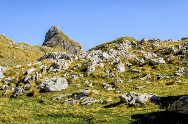 杜尔米托尔黑山 — 图库照片