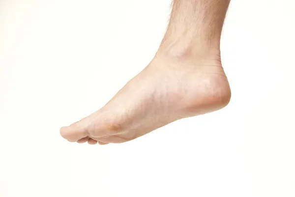 Нога — стоковое фото