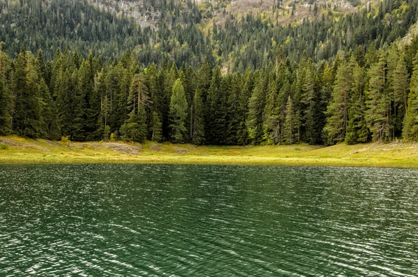 Lago di montagna — Foto Stock