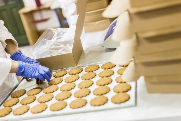 Cookies factory — Zdjęcie stockowe
