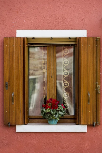 Fenster — Stockfoto